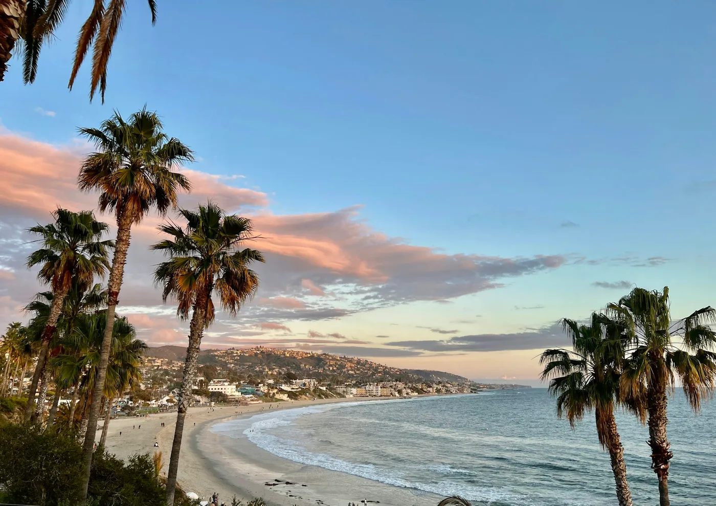 Palm-lined coastline at Laguna Beach in Orange County